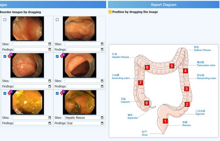 ISV-Report-annotaion-1